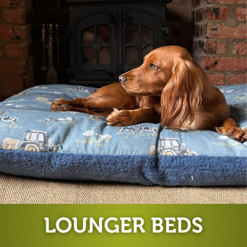 Click to browse lounger dog beds