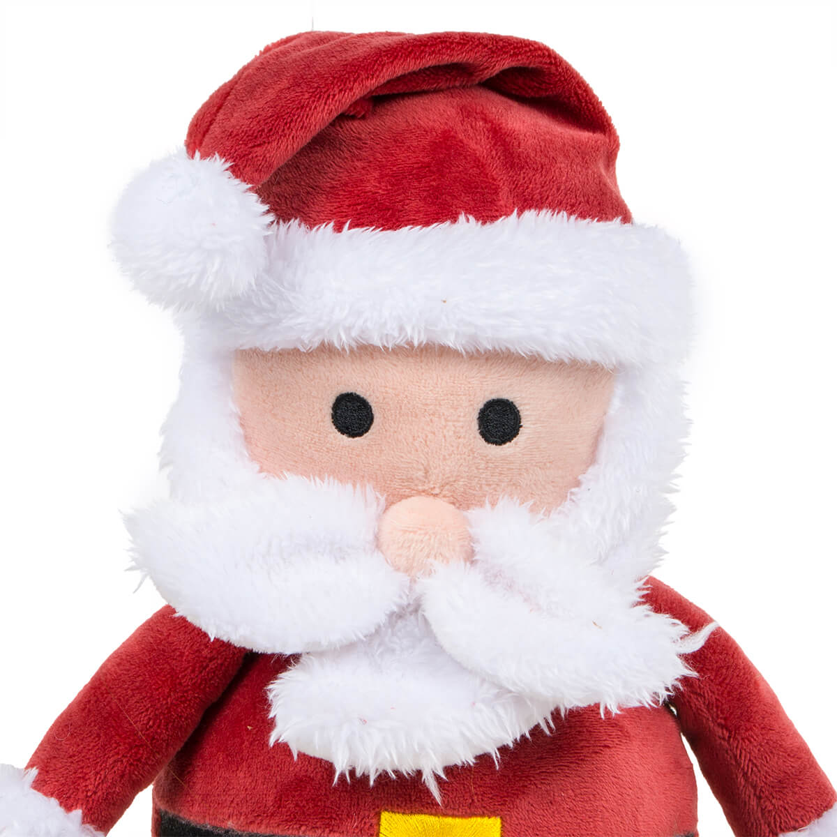 Squeaky Santa Dog Toy