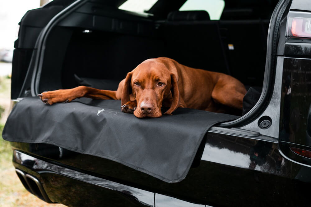 Boot Bed
