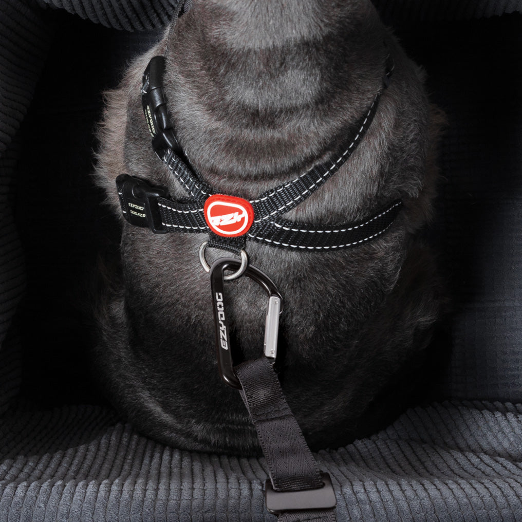 EzyDog Drive Car Booster Seat Back Attachment Point
