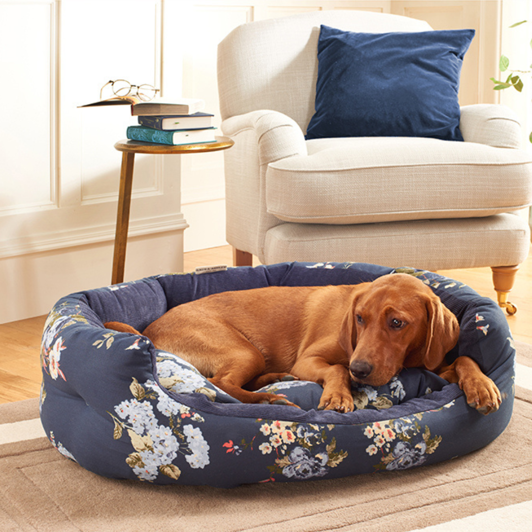 Laura Ashley Rosemore Deluxe Slumber Dog Bed with Dog