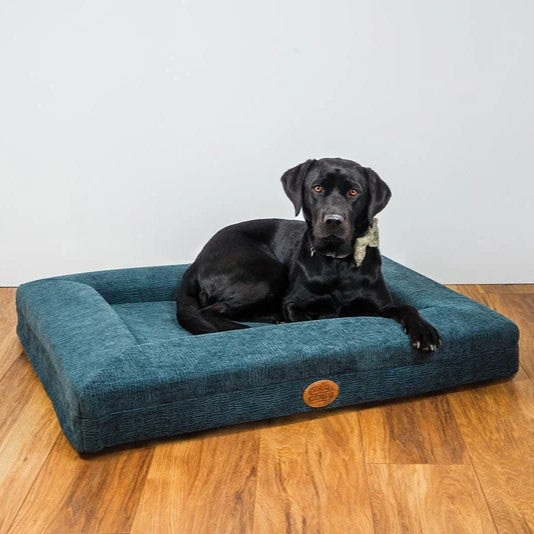 Orthodeadic Lounger Dog Bed Blue
