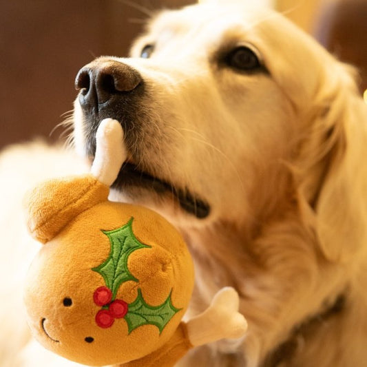 Dog playing with a plush toy resembling a turkey