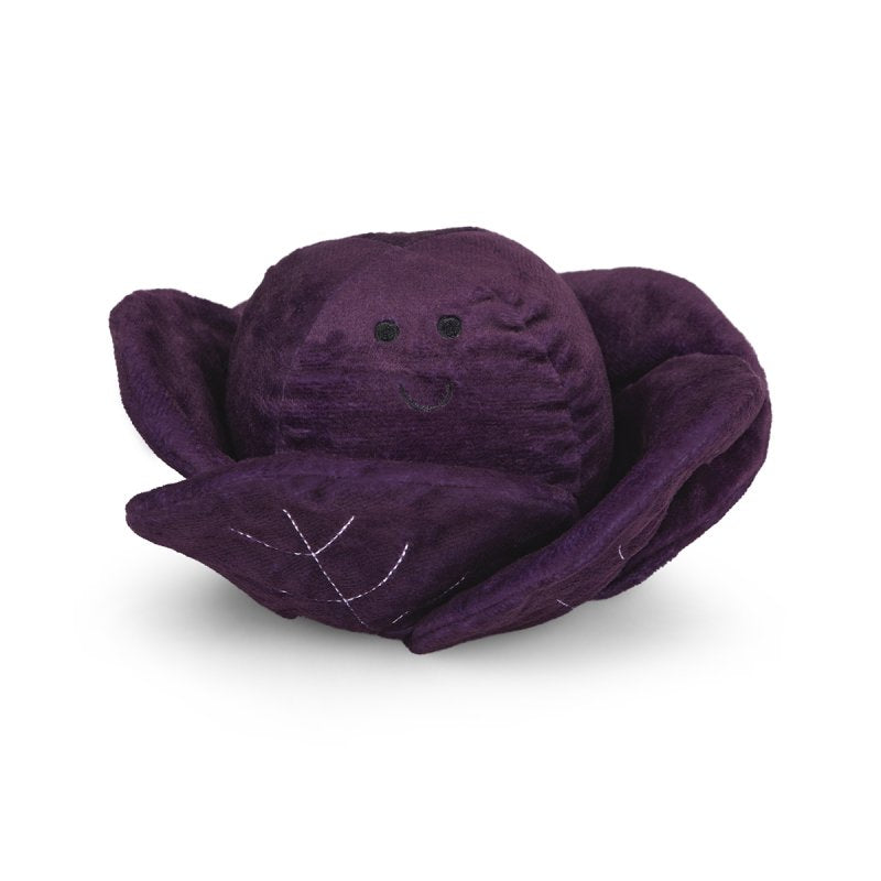 Petface Ruby Red Cabbage - Front