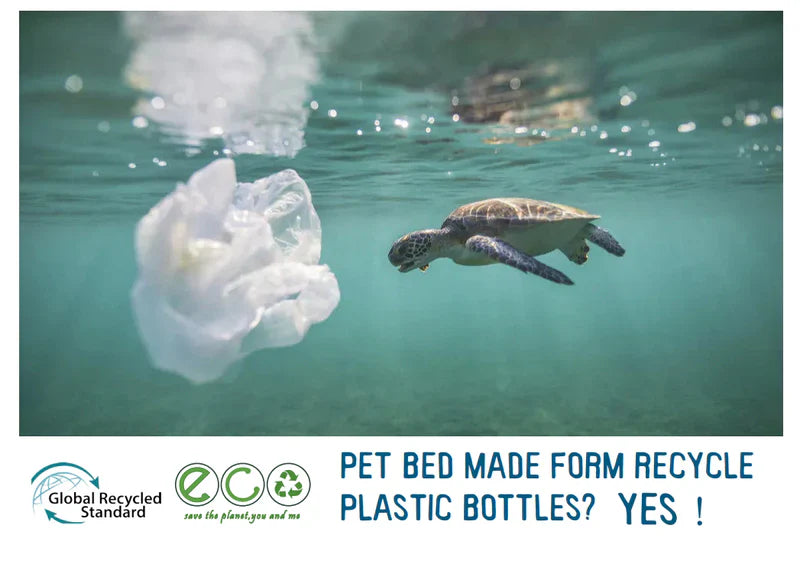 Eco Rectangular Dog Bed