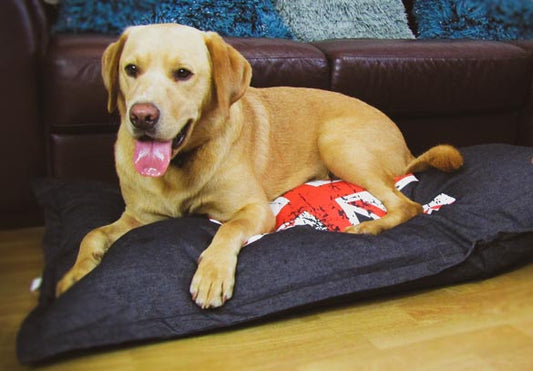 Snug & Cosy Union Jack Lounger Dog Bed