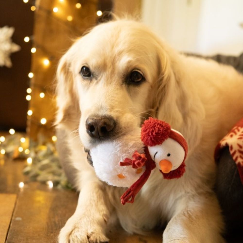 Petface Snowman Plush Christmas Dog Toy