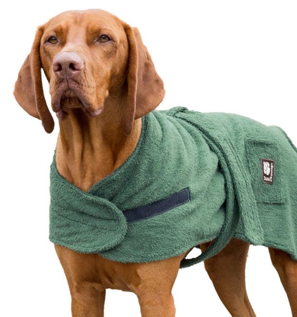 Dog Robe