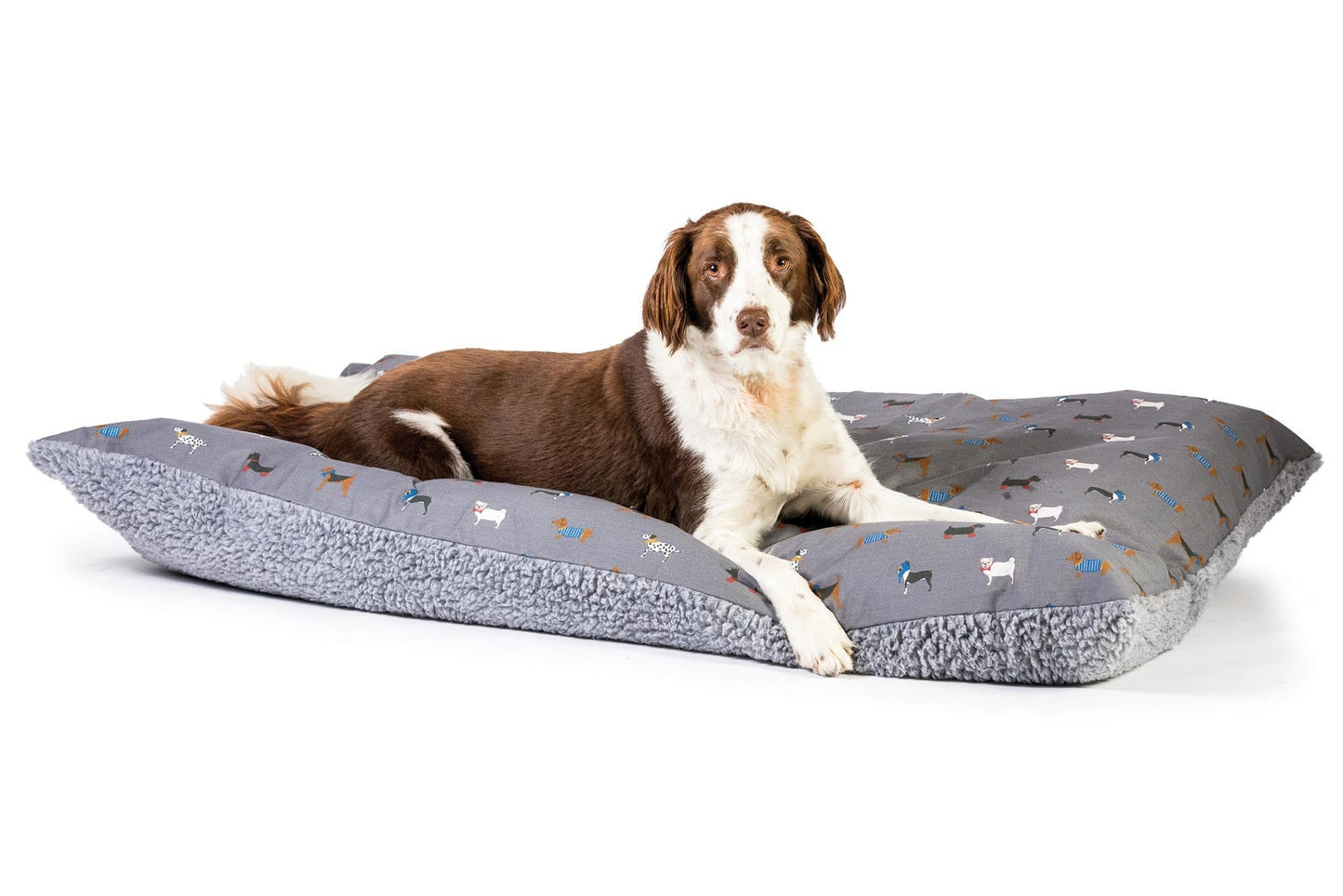 FatFace Marching Dogs Deep Duvet Dog Bed with Dog