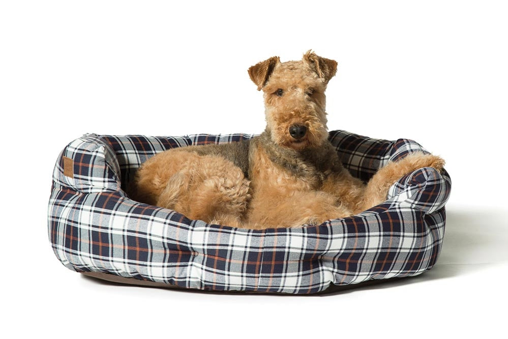 Danish Design Lumberjack Deluxe Slumber Dog Bed-White/Navy-Large with Dog