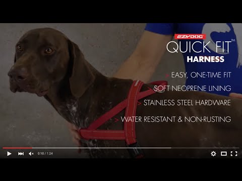 EzyDog Quicik Fit Harness fitting guide