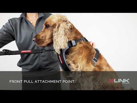 X-Link Fitting Guide Video