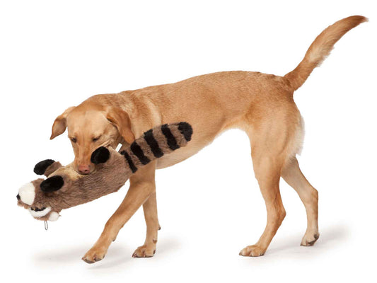 Ricky the Raccoon Dog Toy by Danish Design