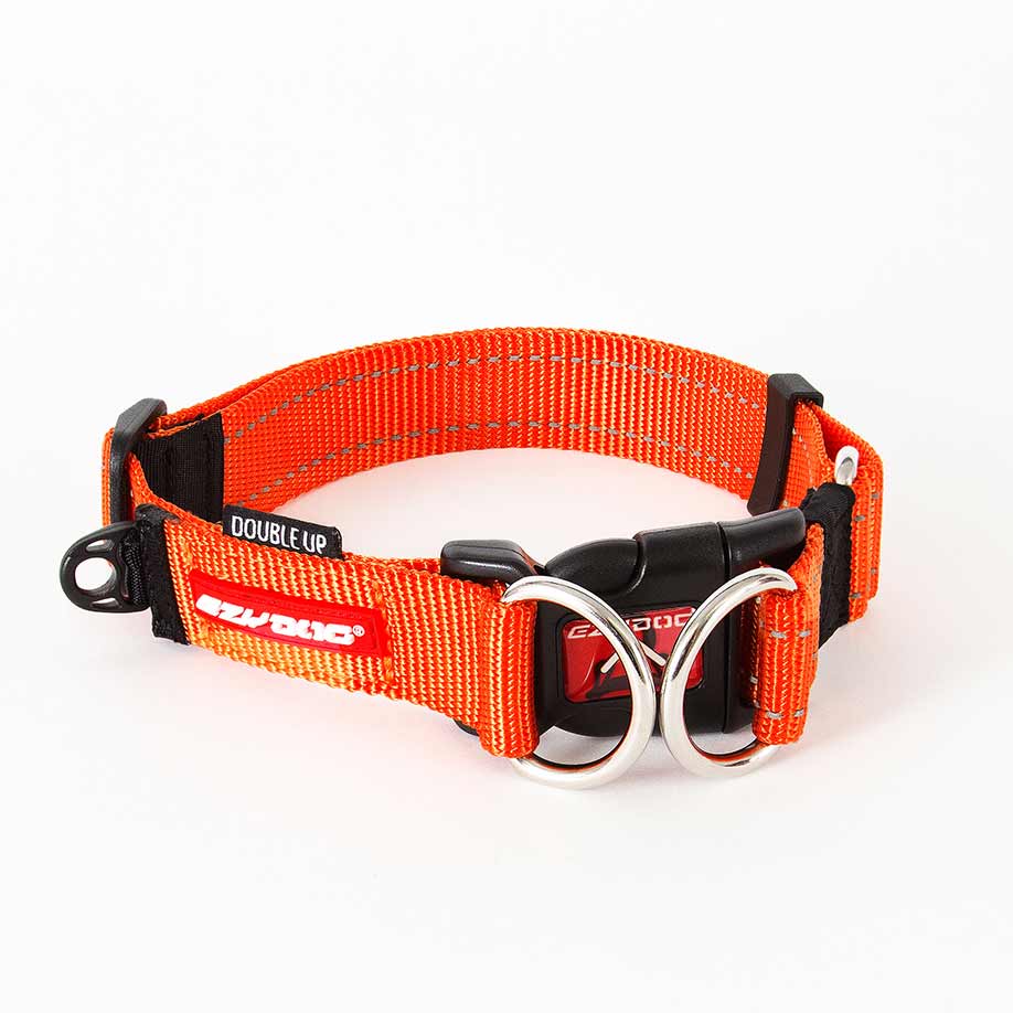 EzyDog Double Up Collar Orange