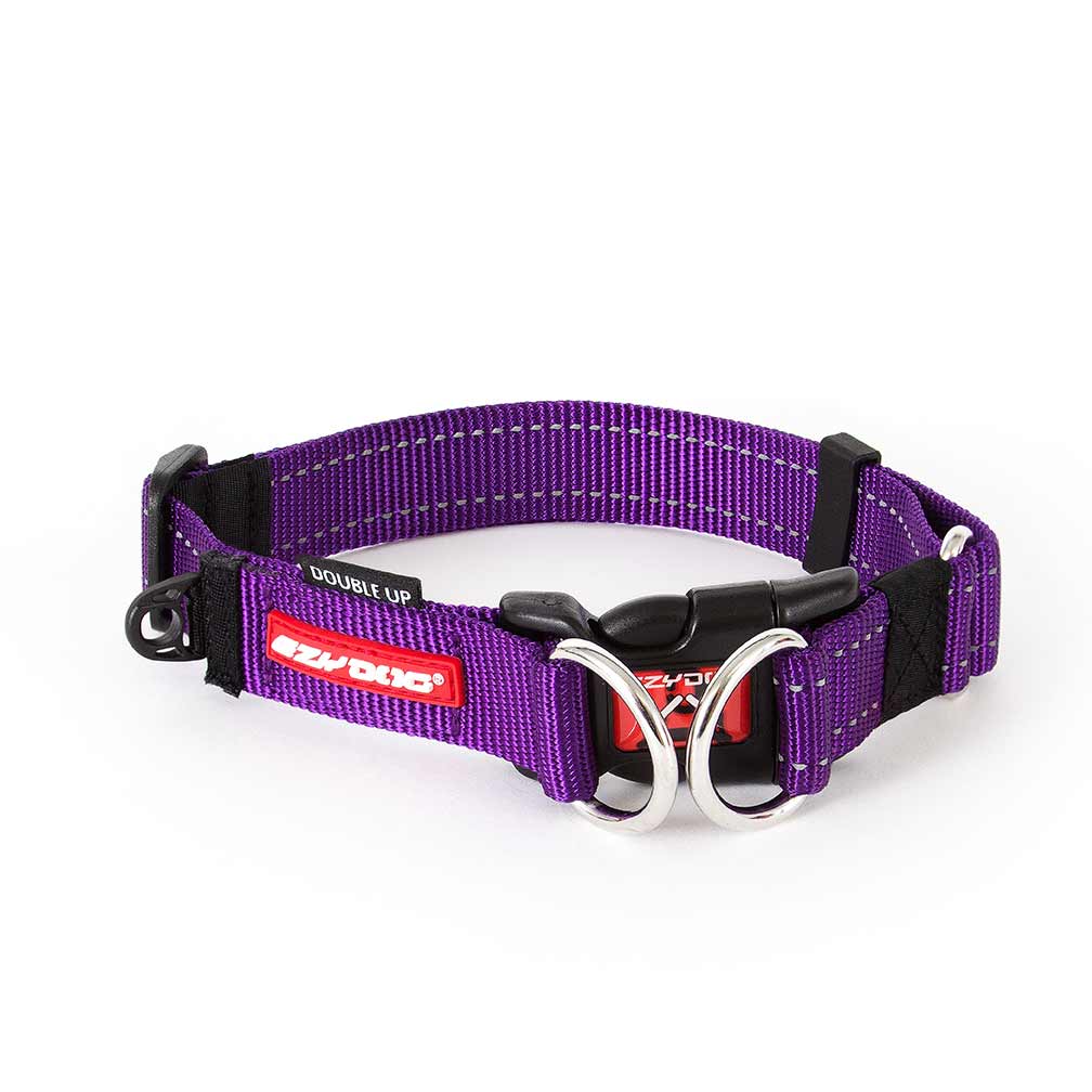 EzyDog Double Up Collar Purple