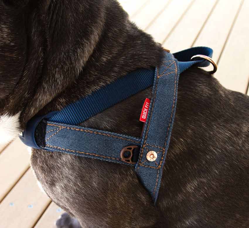 EzyDog Quick Fit Harness - Denim