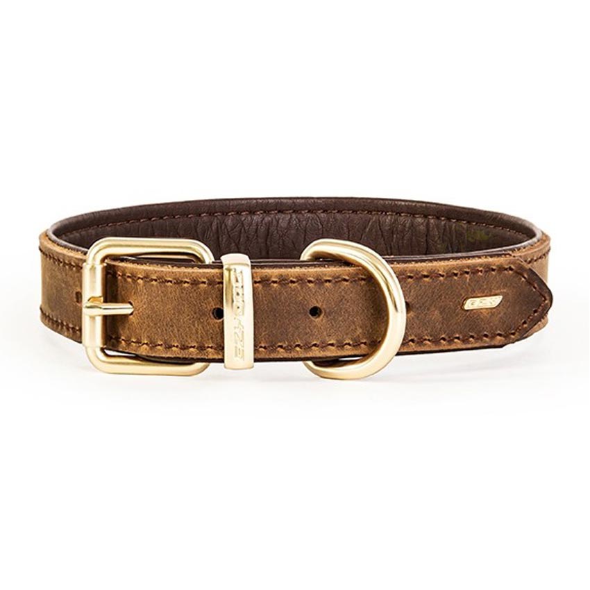 EzyDog Oxford Leather Classic Dog Collar