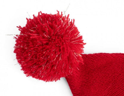 Petface Christmas Dog Scarf Red Robin