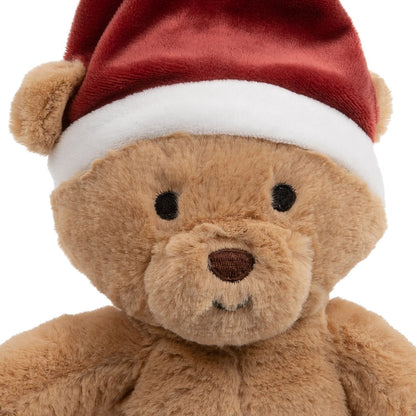 Christmas Teddy Dog Toy Face
