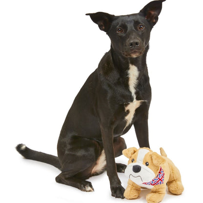 Baily Bulldog Plush Dog Toy with Dog
