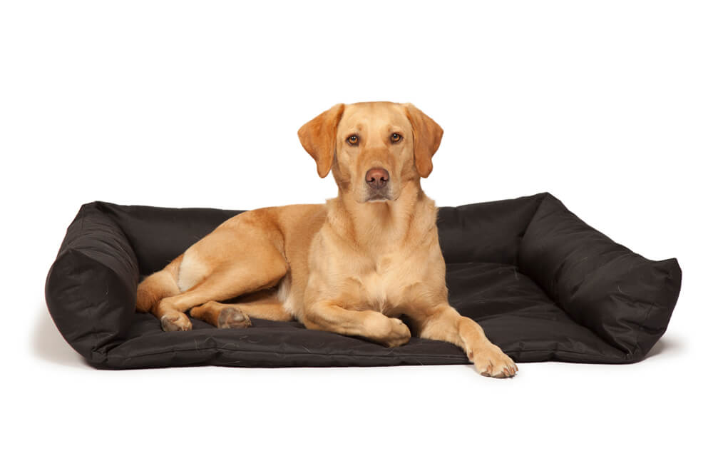 Boot Bed