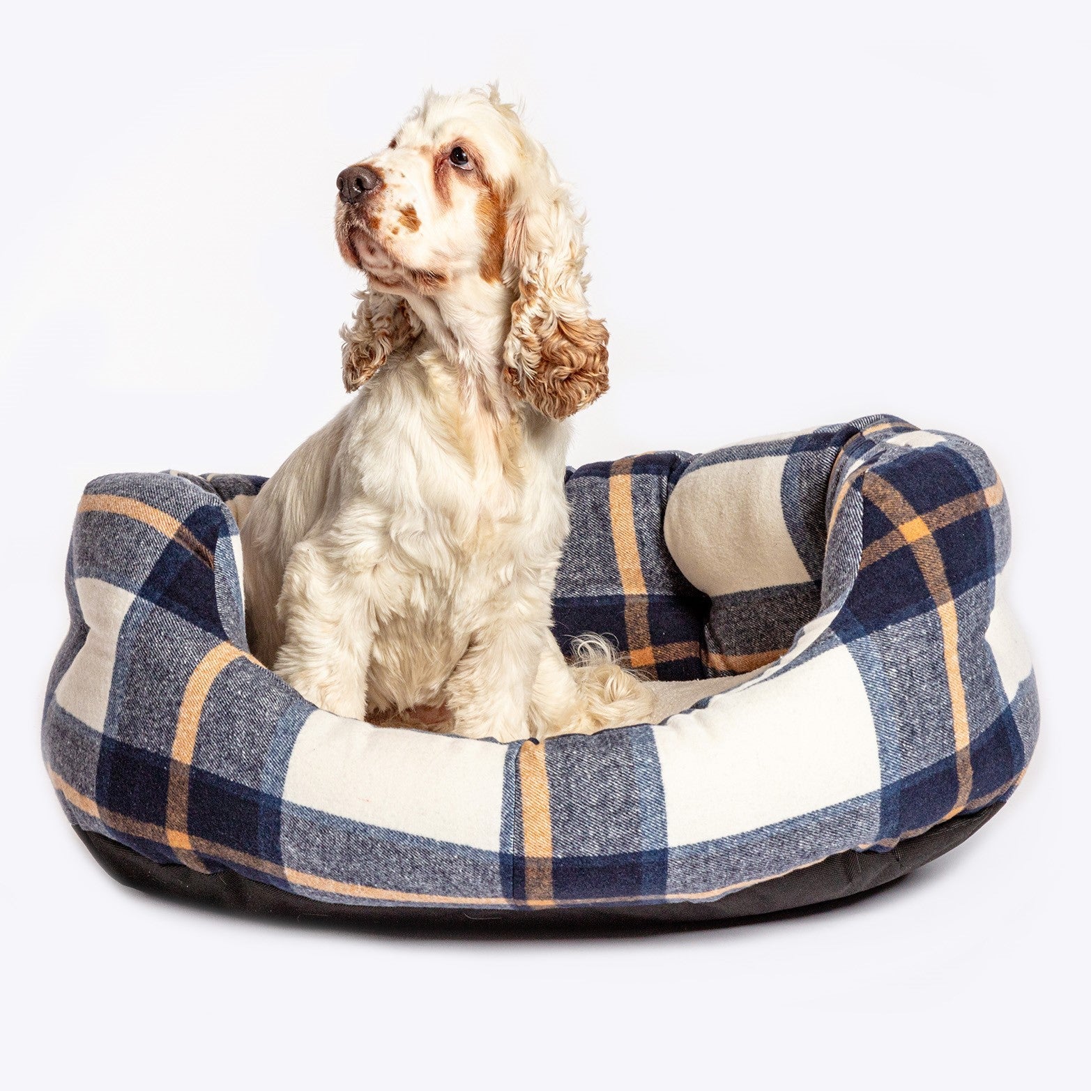 The Bowmore Deluxe Slumber Dog Bed with a dog sitting in the bed