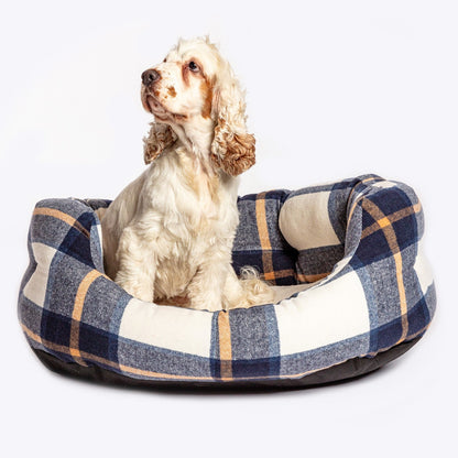 The Bowmore Deluxe Slumber Dog Bed with a dog sitting in the bed