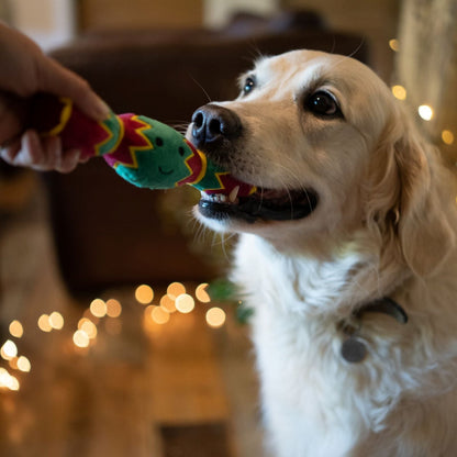Petface Christmas Cracker Dog Toy with Dog