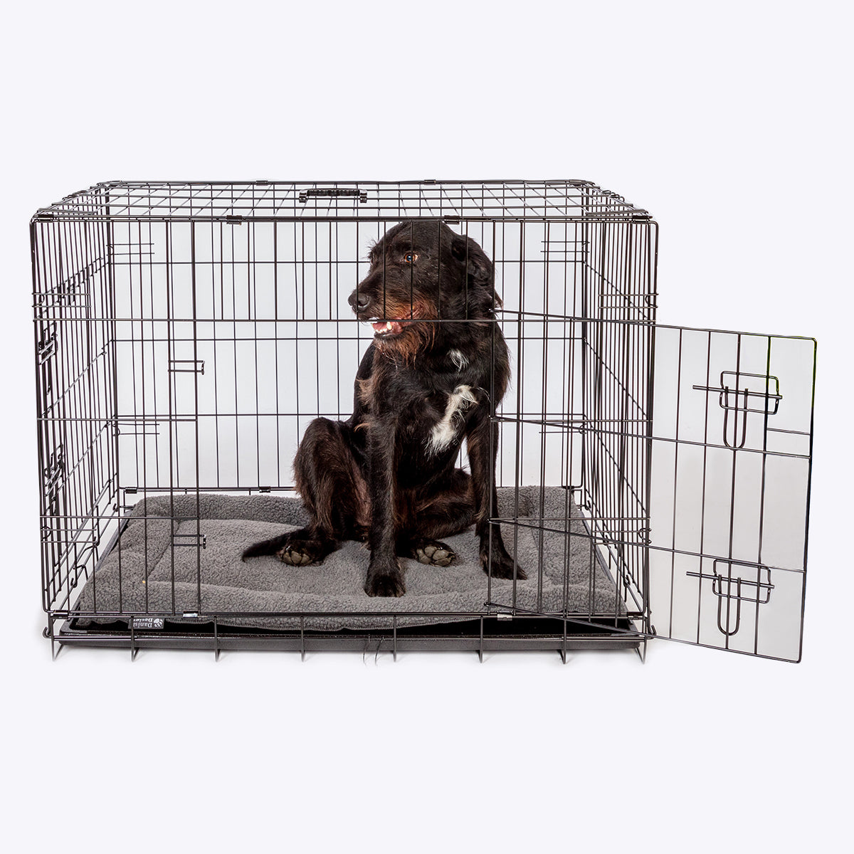 Danish Design Crate Mattress in Grey with Dog #colour_grey