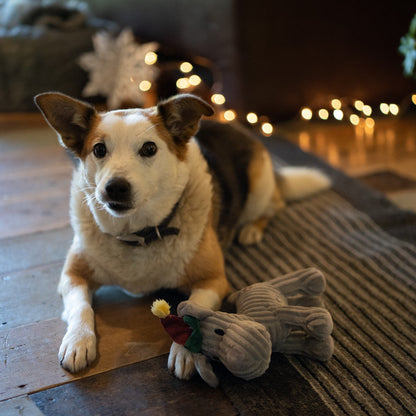 Elf Freddi Dog Christmas Dog Toy with Dog