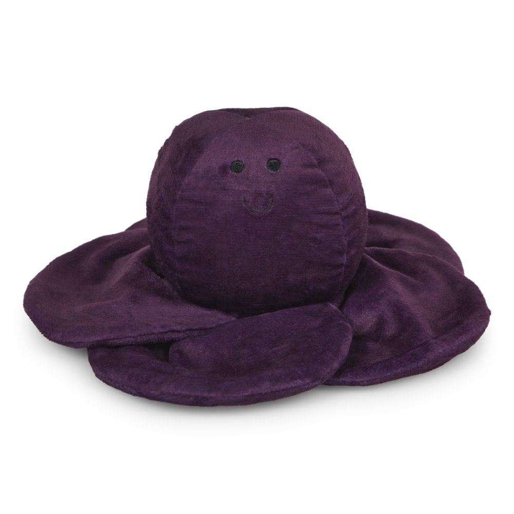 Petface Ruby Red Cabbage - Leaves Down