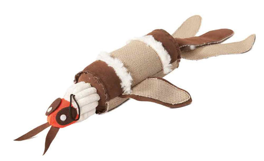 Danish Design Barry the Bug Soft Dog Toy