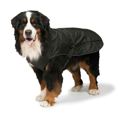 2-in-1 Waterproof Harness Dog Coat by Danish Design