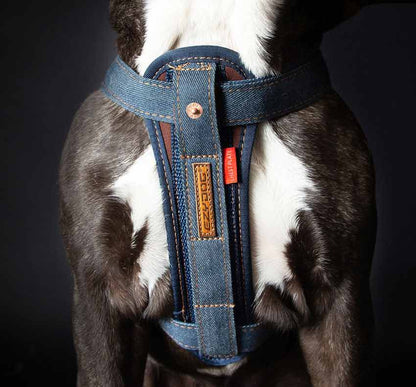 EzyDog Denim Chest Plate Harness