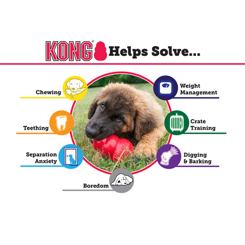 KONG Extreme Dog toy