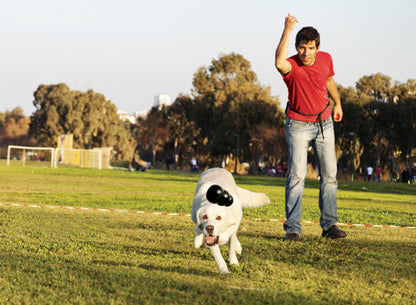 KONG Extreme Dog toy