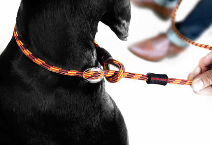 EzyDog Luca Dog Lead