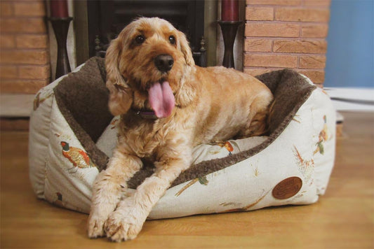 Pheasant Print Dog Bed with Dog