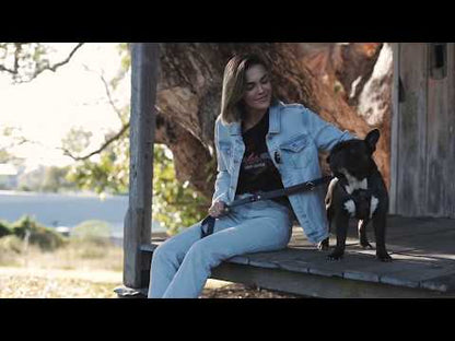 EzyDog Friday Collecive Video