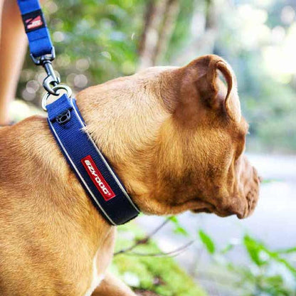 EzyDog Neo Dog Collar with Dog