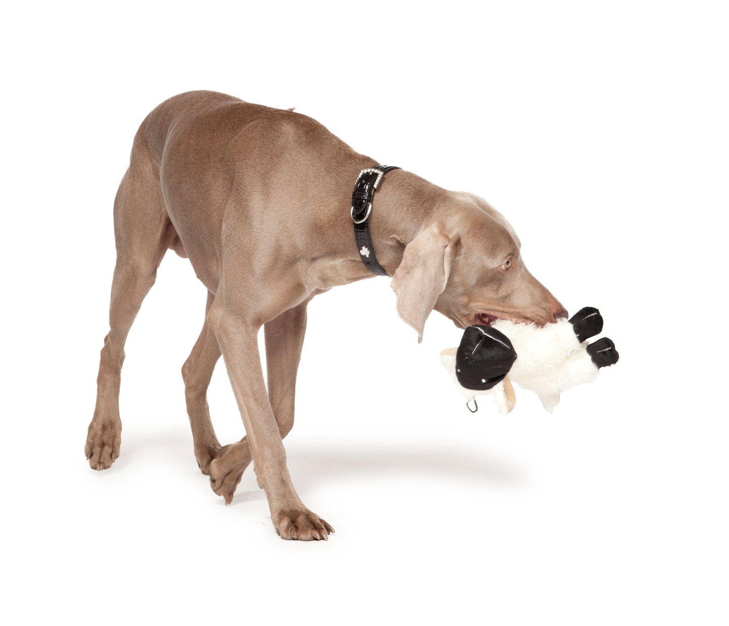 Seamus the Sheep Dog Toy by Danish Design
