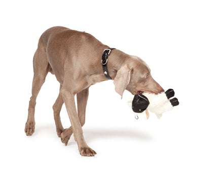 Seamus the Sheep Dog Toy by Danish Design
