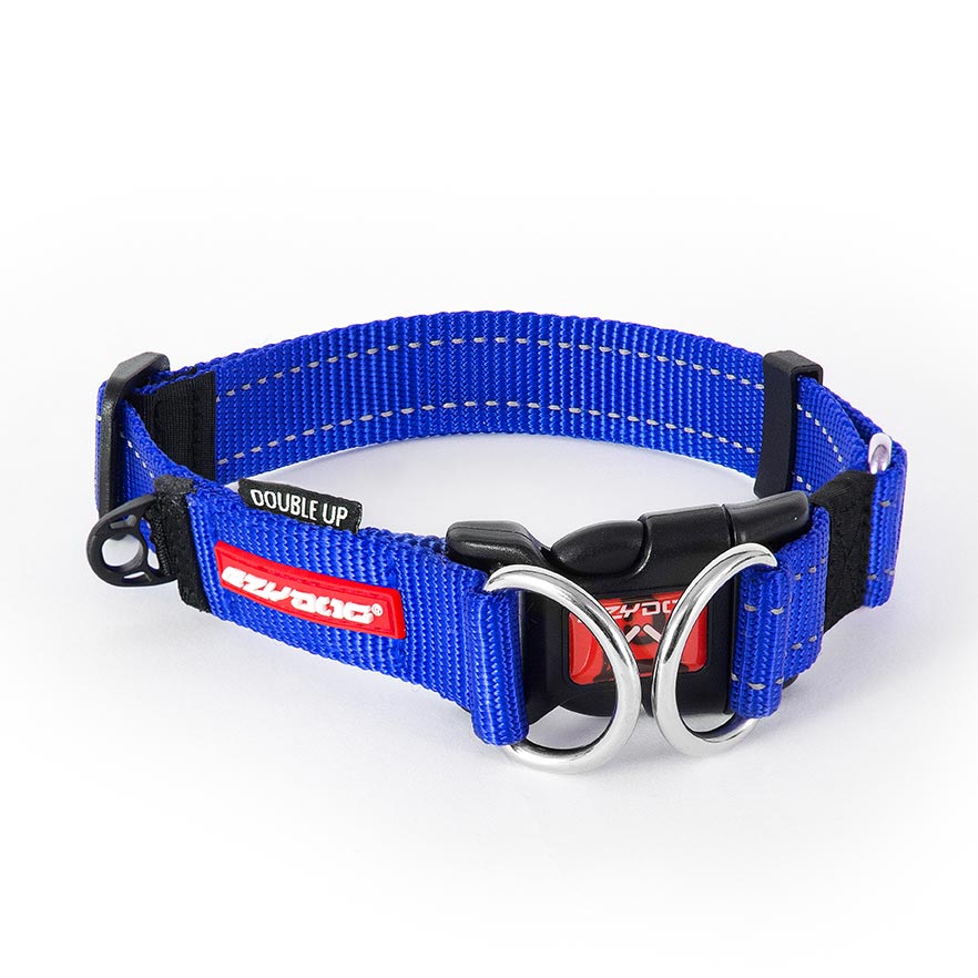 EzyDog Double Up Collar Blue