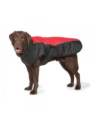 Sports Luxe Waterproof Dog Coat Black and Red by Danish Design