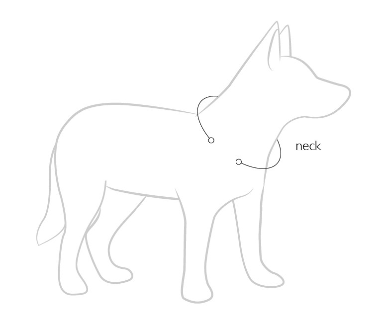 EzyDog Oxford Leather Dog Collar Size Guide
